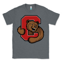 Charcoal Heather cornell big red Classic Tee - artisFamous