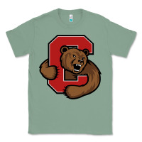 Sage cornell big red Classic Tee - artisFamous
