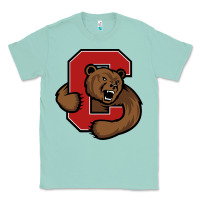 Seafoam cornell big red Classic Tee - artisFamous