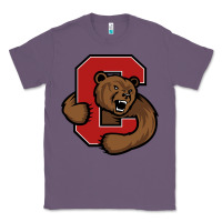 Lavender cornell big red Classic Tee - artisFamous