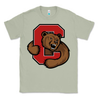 Matcha cornell big red Classic Tee - artisFamous