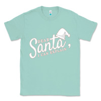 Seafoam Dear Santa I Can Explain Classic Tee - artisFamous