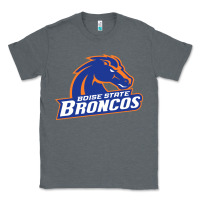 Charcoal Heather Boise Design Classic Tee - artisFamous