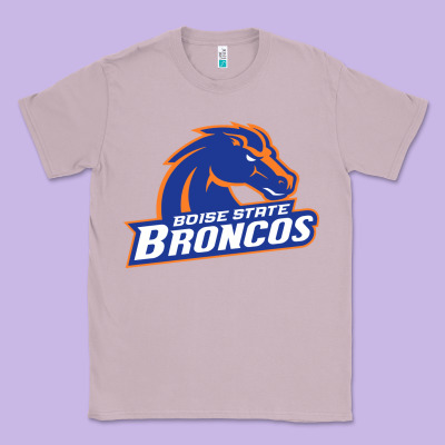 Boise Design Classic Tee Designed By Artisfamous