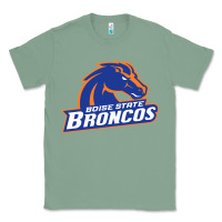 Sage Boise Design Classic Tee - artisFamous