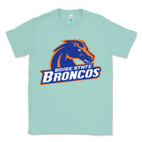 Seafoam Boise Design Classic Tee - artisFamous