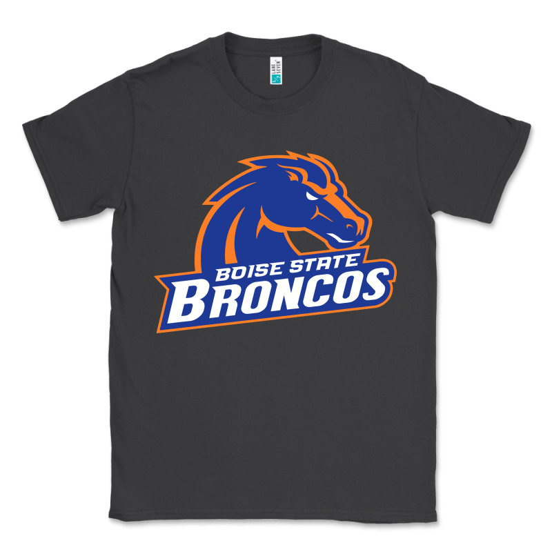 Boise Design Classic Tee by artisFamous | Teevron