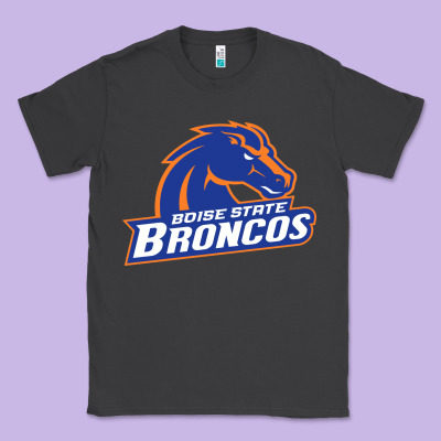 Boise Design Classic Tee Designed By Artisfamous