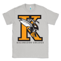 Moon Dust kalamazoo college Classic Tee - artisFamous