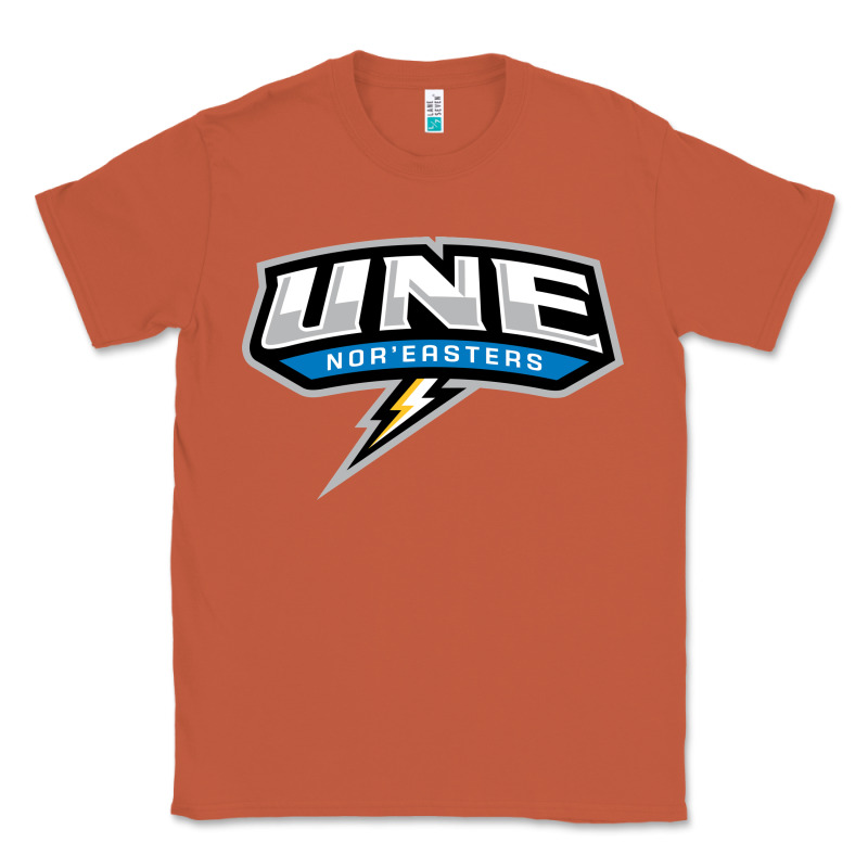 New England University Classic Tee by artisFamous | Teevron