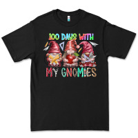 Black 100 days with my gnomies Premium Tee - RacoonDesign