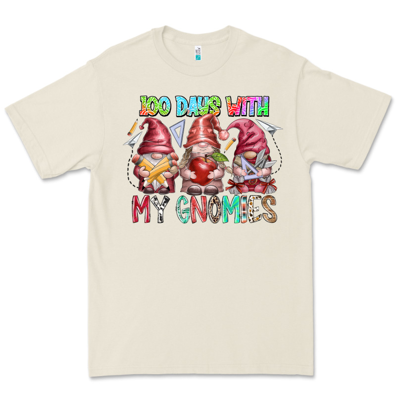 100 Days With My Gnomies Premium Tee by RacoonDesign | Teevron