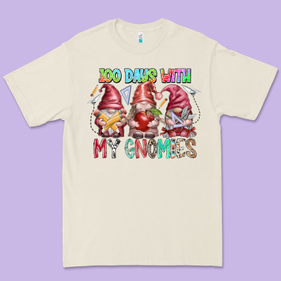 100 Days With My Gnomies Premium Tee Designed By Racoondesign
