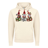 Vintage Artic ho ho. ho gnomes Vintage Hoodie - BarkalooDesign