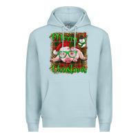 Merry Christmas Baby Pig Premium Hoodie | Teevron