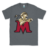 Charcoal Heather lions, molloy college Classic Tee - linhVisuals