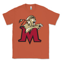 Copper lions, molloy college Classic Tee - linhVisuals