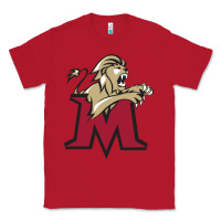 Lions, Molloy College Classic Tee | Teevron