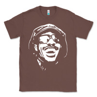 Chestnut stevie wonder Classic Tee - linhVisuals