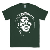 Sports Green stevie wonder Classic Tee - linhVisuals