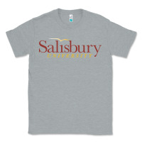 Heather Grey salisbury university Classic Tee - linhVisuals