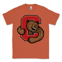 Copper The cornell big red Classic Tee - linhVisuals