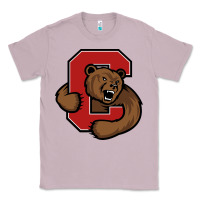 Lilac The cornell big red Classic Tee - linhVisuals