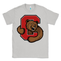 Moon Dust The cornell big red Classic Tee - linhVisuals