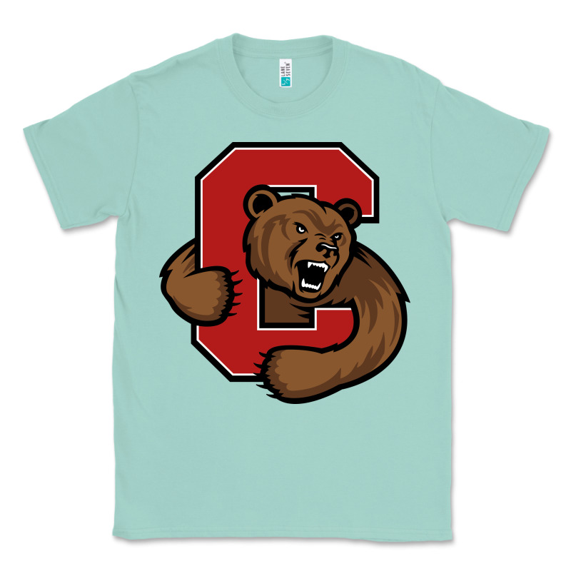 The Cornell Big Red Classic Tee by linhVisuals | Teevron