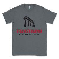 Charcoal Heather transylvania university Classic Tee - linhVisuals