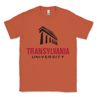 Copper transylvania university Classic Tee - linhVisuals