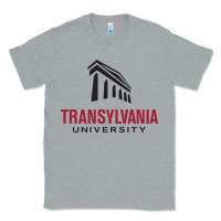 Heather Grey transylvania university Classic Tee - linhVisuals
