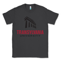 Smoke transylvania university Classic Tee - linhVisuals