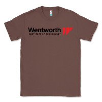 Chestnut wentworth institute of technology Classic Tee - linhVisuals