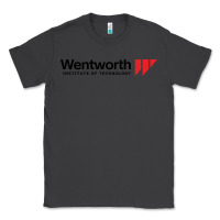 Smoke wentworth institute of technology Classic Tee - linhVisuals