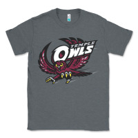 Charcoal Heather temple owls Classic Tee - linhVisuals