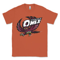 Copper temple owls Classic Tee - linhVisuals