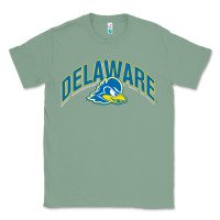 Sage delaware sportss Classic Tee - linhVisuals