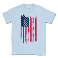 Dusty Blue correctional officer shirts   correctional prison officer thin silver Classic Tee - linhVisuals