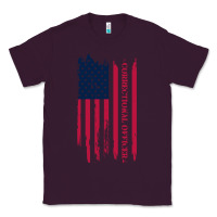Plum correctional officer shirts   correctional prison officer thin silver Classic Tee - linhVisuals