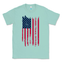 Seafoam correctional officer shirts   correctional prison officer thin silver Classic Tee - linhVisuals
