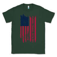 Sports Green correctional officer shirts   correctional prison officer thin silver Classic Tee - linhVisuals