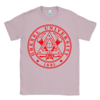 Lilac drexel university Classic Tee - linhVisuals