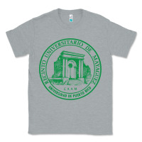 Heather Grey upr at mayaguez Classic Tee - linhVisuals