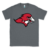 Charcoal Heather benedictine, mesa, college Classic Tee - linhVisuals