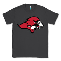 Smoke benedictine, mesa, college Classic Tee - linhVisuals