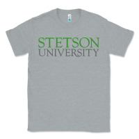 Heather Grey Stetson University Classic Tee - linhVisuals