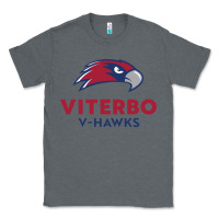 Charcoal Heather v-h4wks, viterbo, education Classic Tee - linhVisuals