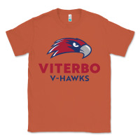 Copper v-h4wks, viterbo, education Classic Tee - linhVisuals