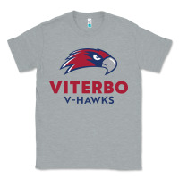 Heather Grey v-h4wks, viterbo, education Classic Tee - linhVisuals